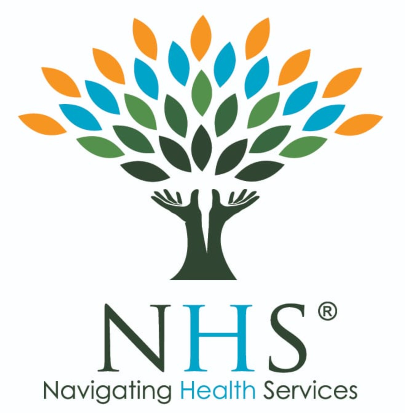 Navigating Health Services